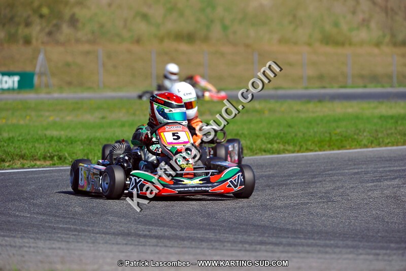 DSC_ (1250).jpg